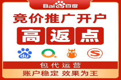 某某sem推广公司实战案例：精准投放提升转化率